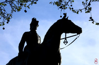 The Capitan